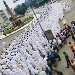 Meet your Posher, Peace